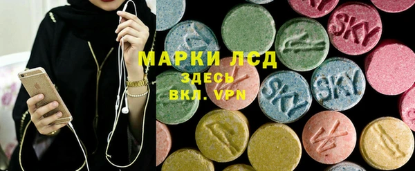 хмурый Арсеньев