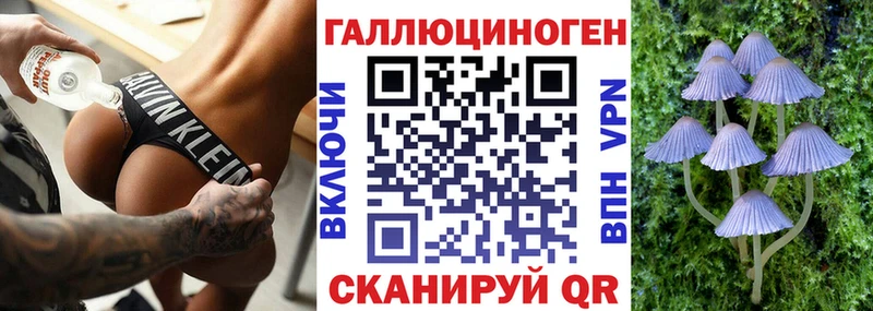 Псилоцибиновые грибы Psilocybine cubensis цены Спас-Деменск
